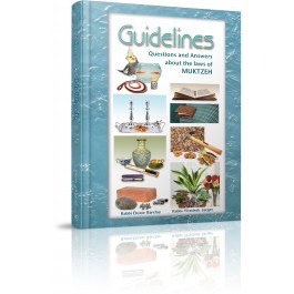 Guidelines Muktzeh