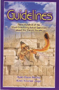 Guidelines: Yomim Noraim