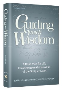 Guiding With Wisdom