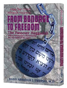Hagada From Bondage To Freedom