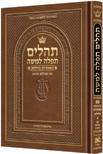 Large Type Tehillim HebInstruc