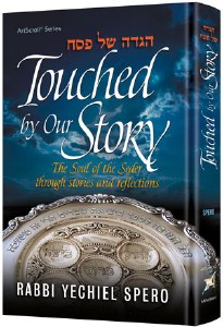 Touched By Our Story Haggadah
