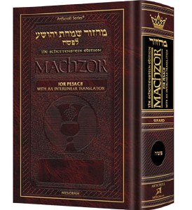 Interlinear Machzor: Pesach