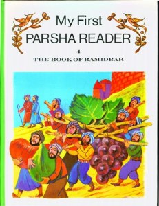 First ParshaReader-Bamidbar