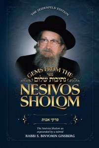 Nesivos Shalom - Pirkei Avos