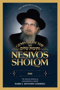 Nesivos Shalom - Shabbos