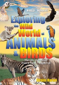 Exploring Wild World of Birds