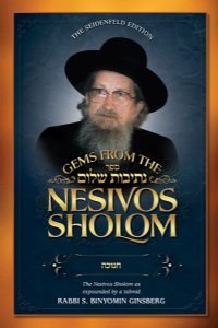 Nesivos Shalom - Chanuka