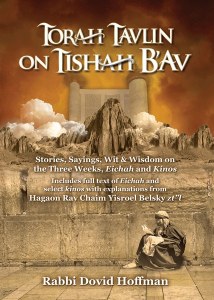 Torah Tavlin on Tisha B'av