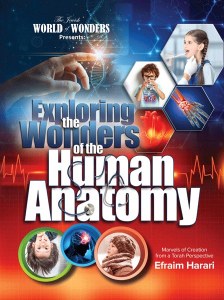 Exploring Wonders of the Human