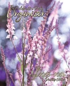 Balabusta's Organizer 23-24DP