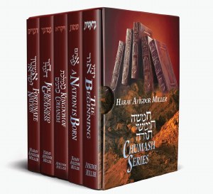 Avigdor Miller Chumash 5V SET