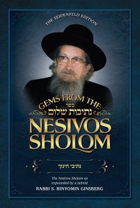 Nesivos Shalom: Nesivei Chinu