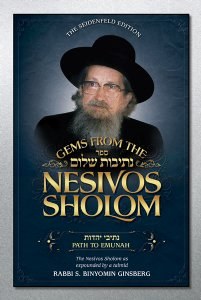Nesivos Shalom: Path to Emunah