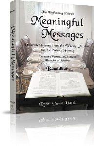 Meaningful Messages - Devarim