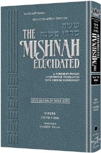 Mishnah Elucidated - Moed V1