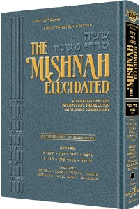 Mishnah Elucidated - Moed V3