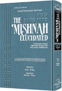 Mishnah Elucidated Tohoros 4