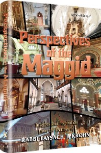 Perspectives Of The Maggid