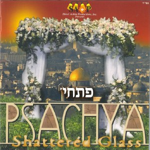 Psachya -Shattered glass