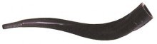 Plastic Yemenite Shofar