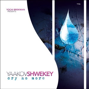 Shwekey - Cry No More