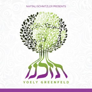 Yoely Greenfeld - Tezakeine