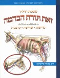 Zos Toras HeBehaima - Chullin
