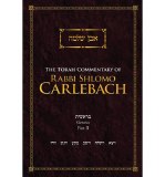 Carlebach Commentary Genesis 2