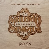 Shlomo Simcha - Ani Kan