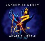 Shwekey - We are a Miracle