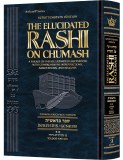 Rashi Elucidate Bereishes v2