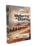 Wellspring of Eliyahu / Maayan