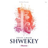 Yosef Chaim Shweky - Chavivin