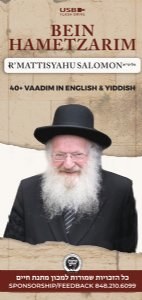 Rav Salomon- Bein Hametzarim