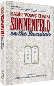 R' Sonnenfeld on the Parasha