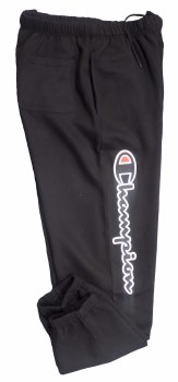 Champion Graphic Fleece Pant