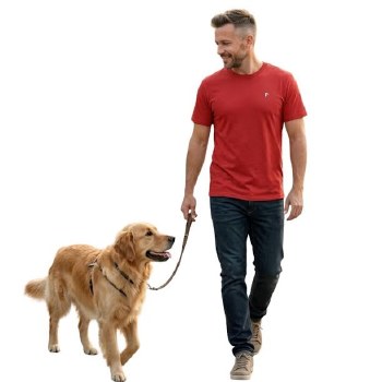 Authentic Licenced Varsity Athletic Tee 4 Colours Red, Navy, Black, Grey