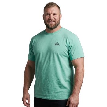 Authentic Licenced Quiksilver Tee 5  Colours, Black, Wine, Coastal Blue, Mint, Navy