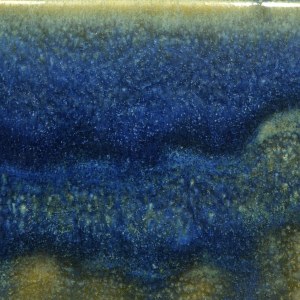 Blue Moss Pint