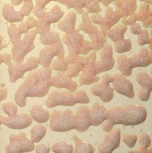 CR-17 Flux Crawl Pint