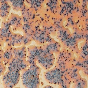 CR-18 Speckled Flux Crawl Pint