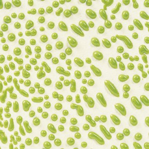 CR-41 Lime Crawl Pint