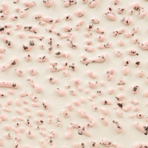 CR-51 Speckled Pink Crawl Pint