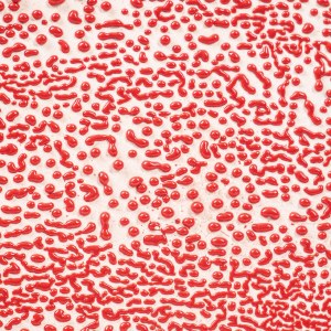 CR-58 Red Crawl Pint