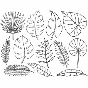 Tropical Leaves Decal Black