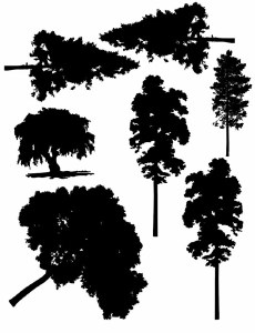 Assorted Tree Silhouettes