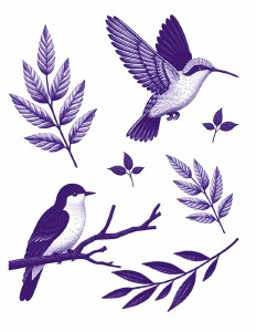 Blue Birds 04 Decal