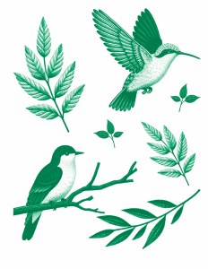 Green Birds 04 Decal