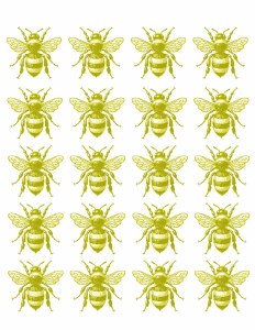 Yellow Bumble Bees 01 Decal